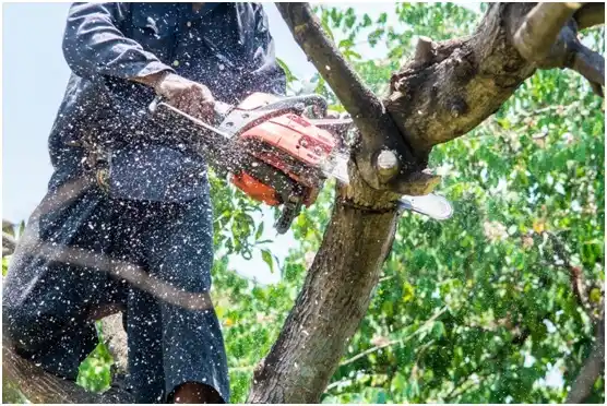 tree services Newington